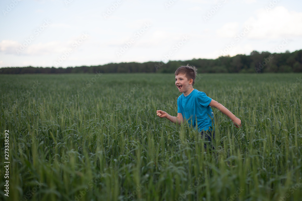 Happy boy running in green wheat, enjoying the life in the field. Nature beauty, blue sky and field of wheat. Freedom concept