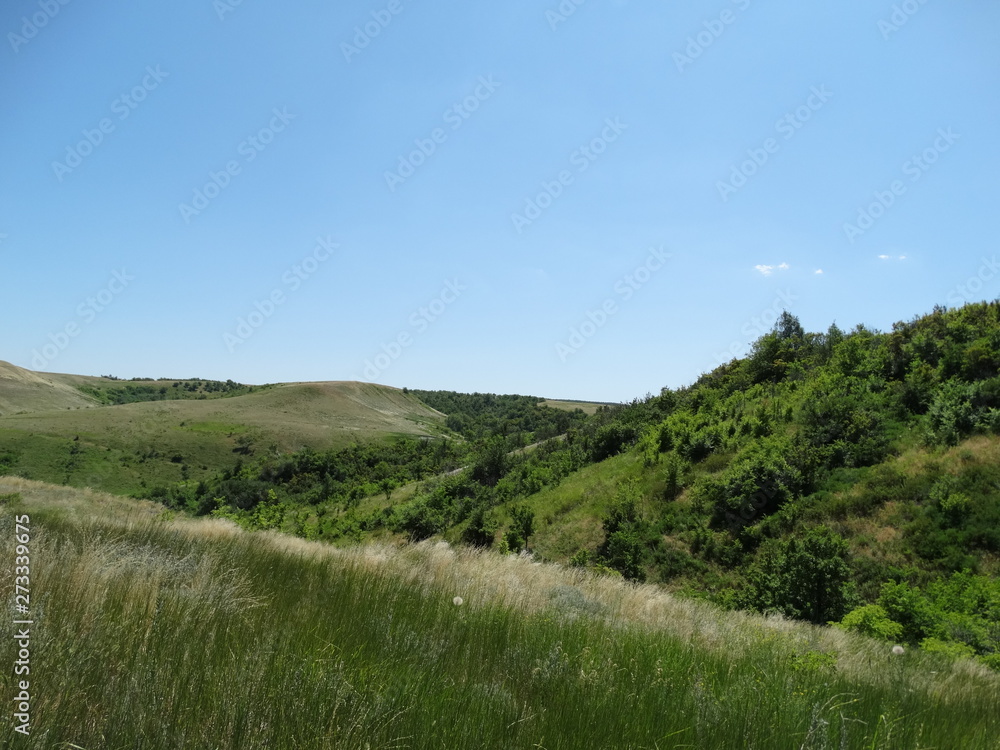 steppe landscape