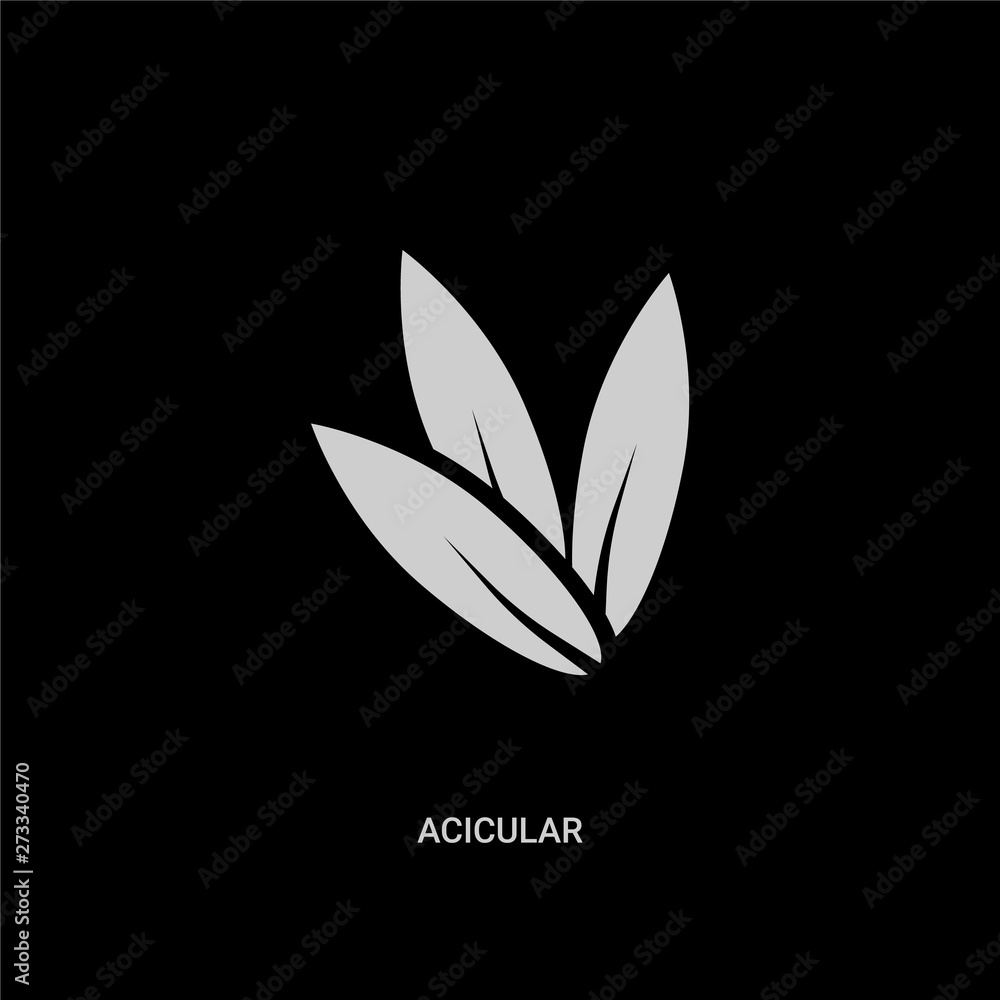 white acicular vector icon on black background. modern flat acicular from nature concept vector sign symbol can be use for web, mobile and logo.