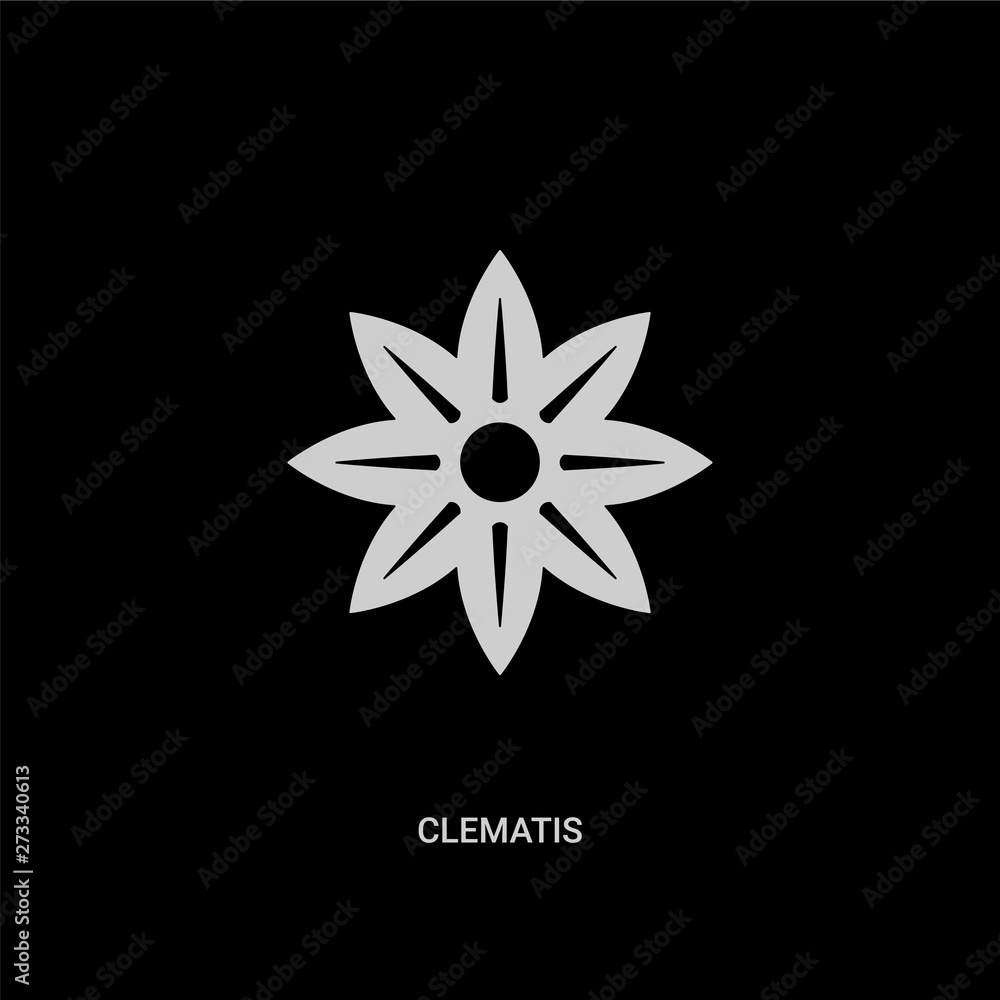 white clematis vector icon on black background. modern flat clematis from nature concept vector sign symbol can be use for web, mobile and logo.