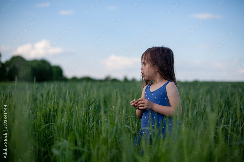 Happy girl walking in green wheat, enjoying the life in the field. Nature beauty, blue sky and field of wheat. Freedom concept Happy girl walking in green wheat, enjoying the life in the field. Nature beauty, blue sky and field of wheat. Freedom concept