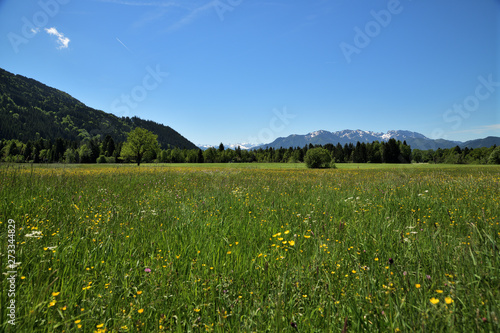 Alpenidylle von Bayern