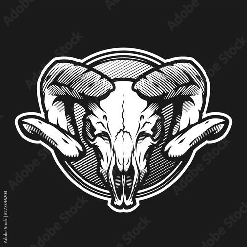 Ram skull on a dark background on a dark background.
