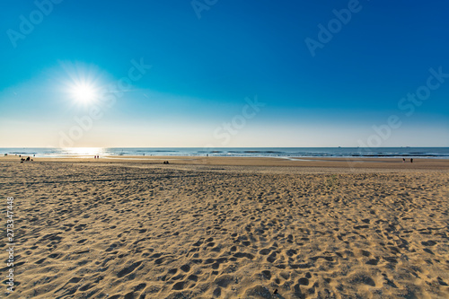 Sunny day on North sea beach in Netherlands in Schegeningen  tourist and vacation destination in Europe