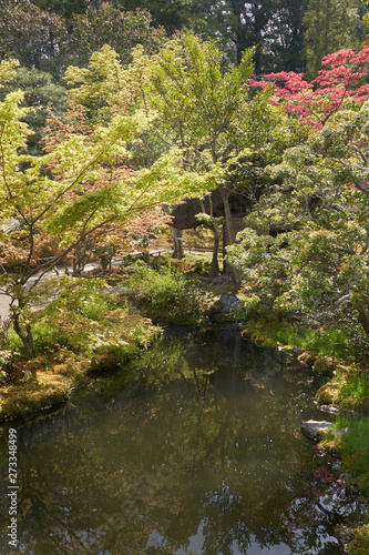 Japanese garden with a backlit trees and a tranquil river in foreground. A path is visible among tree leaves.