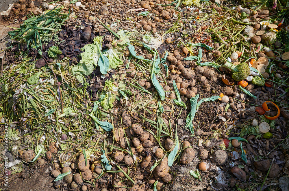 Rural compost with vegetable and fruit scraps Rural compost with vegetable and fruit scraps
