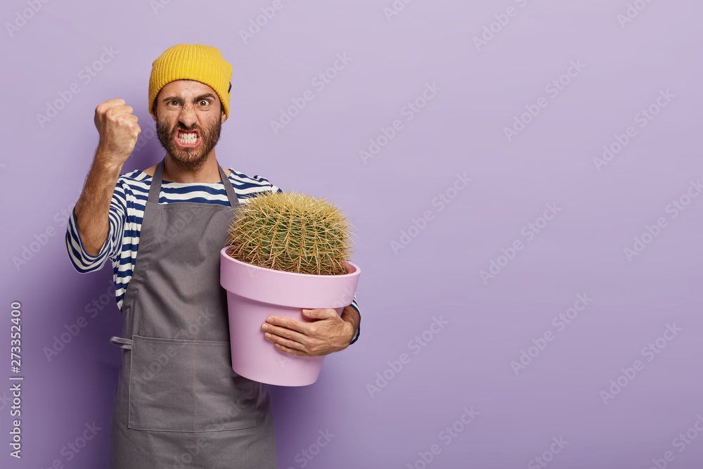 Photo of irritated European male florist clenches fist with anger, grows house plants for home decoration, carries pot of big green cactus, annoyed with bad care for flowers. Blank free space on right Photo of irritated European male florist clenches fist with anger, grows house plants for home decoration, carries pot of big green cactus, annoyed with bad care for flowers. Blank free space on right