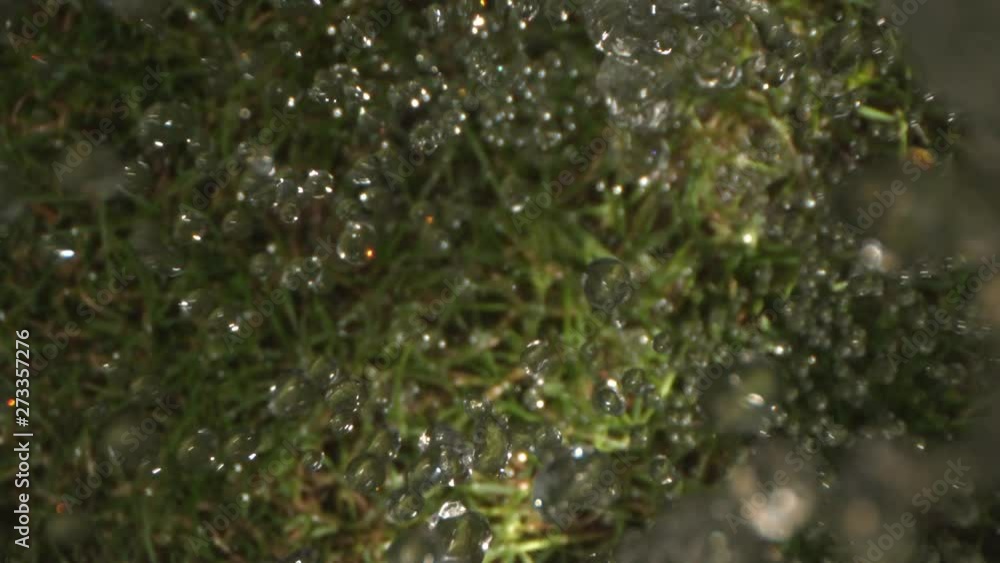Water Drops Falling on the Green Grass on the Lawn Top View Shot on Phantom and Laowa Water Drops Falling on the Green Grass on the Lawn Top View Shot on Phantom and Laowa