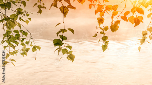 Photos Foggy summer morning with birdsong, spring summer background concept