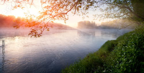 Tableau sur toile Foggy summer morning with birdsong, spring birds singing, nightingale, birdsong