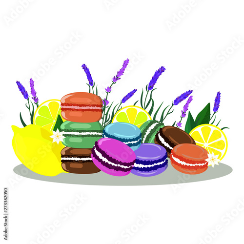 Vector illustration. Beautiful colorful pattern with lemons, macaroons, lavender. White background. 