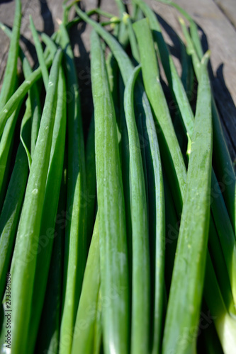 close up of green vegetable