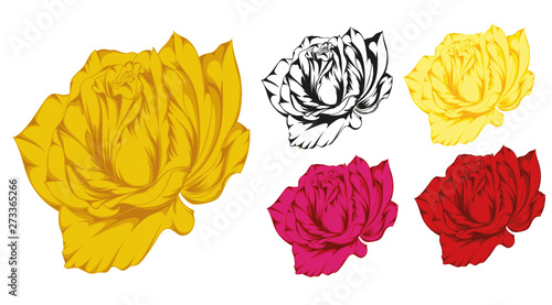 The image of a rose, which is very well suited for embroidery, tattooing, or other purposes.