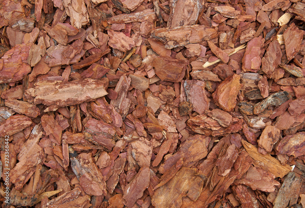 shredded bark of trees shredded bark of trees
