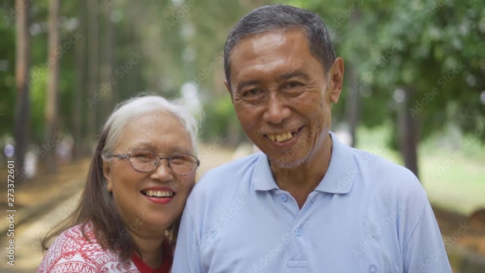 Slow motion of happy senior couple looking and smiling on the camera at the park Slow motion of happy senior couple looking and smiling on the camera at the park