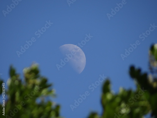 Φωτογραφία Luna Cuarto creciente en San Diego 3