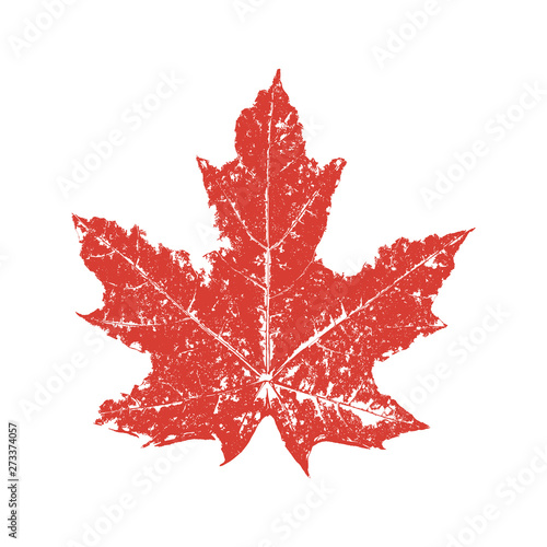 Red maple leaf in grunge style. Vector illustration