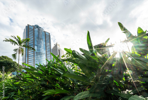 Canvas Print The skyscraper between the tropical trees in Kuala Lumpur, Malaysiua