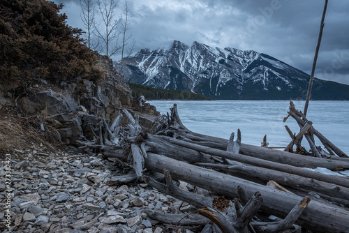 lake minnewanka with a huge mountain ion the background and some fallen trees in the foreground. winter time and frozen water with snow