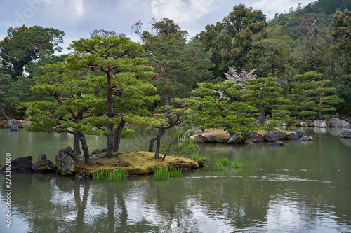 A lake with islands in the Golden pavilion park. Black pine trees are growing on the islands.