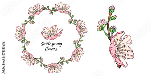Vector floral composition with spring flowers