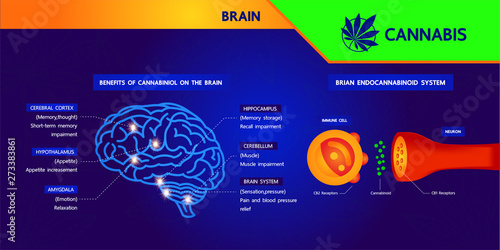 Cannabis benefits for health vector illustration.