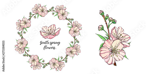 Vector floral composition with spring flowers