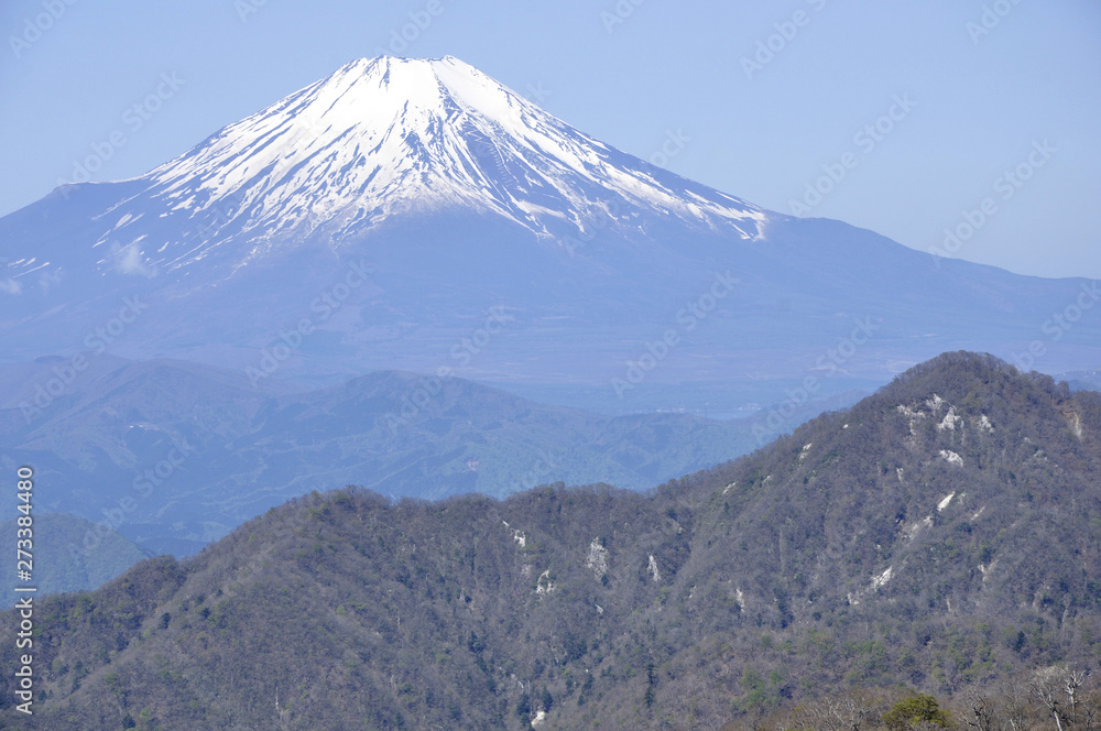 春の丹沢より望む富士山