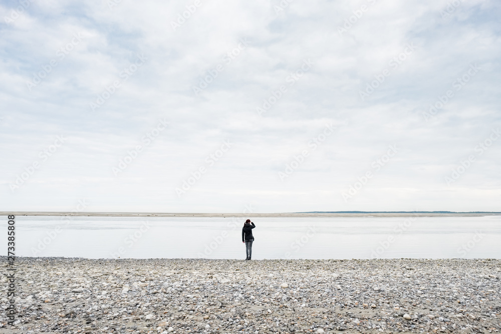 Baie De Somme Phoque Plage Galet Personne Seule Solitude Observation Nature Ciel Paysage Stock Photo Adobe Stock