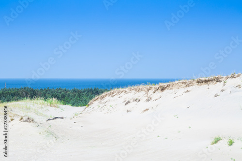 Sand dunes of the Curonian spit also known as "Dead or Grey dunes". Desert plants of wild untouched nature. This place the highest drifting sand dunes in Europe. Nida, Lithuania.