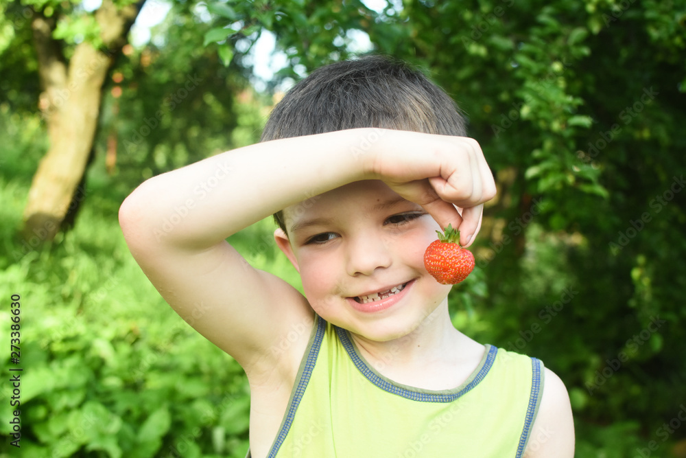 Child eat ripe organic strawberry in garden. Boy make a silly face while eat strawberry