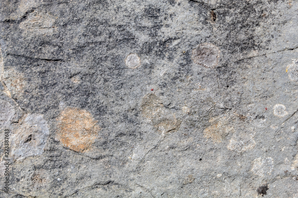 Grayish Weathered Natural Stone Texture Grayish Weathered Natural Stone Texture