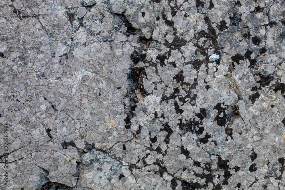Grayish Weathered Natural Stone Texture Grayish Weathered Natural Stone Texture
