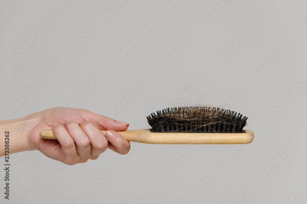 Hair loss problem, postpartum period, menstrual or endocrine disorder,  hormonal disbalance, menopause, stress concept. Close up of woman hand  holding comb brush with lost hair, side view, free space. Stock Photo |