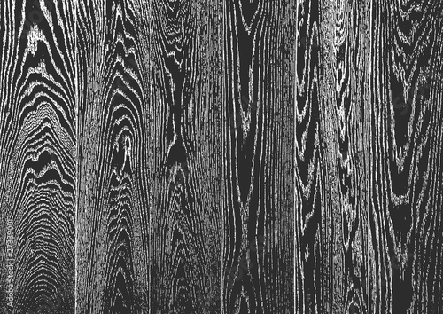 Distress old dry wooden texture. Black and white grunge background. Vector illustration