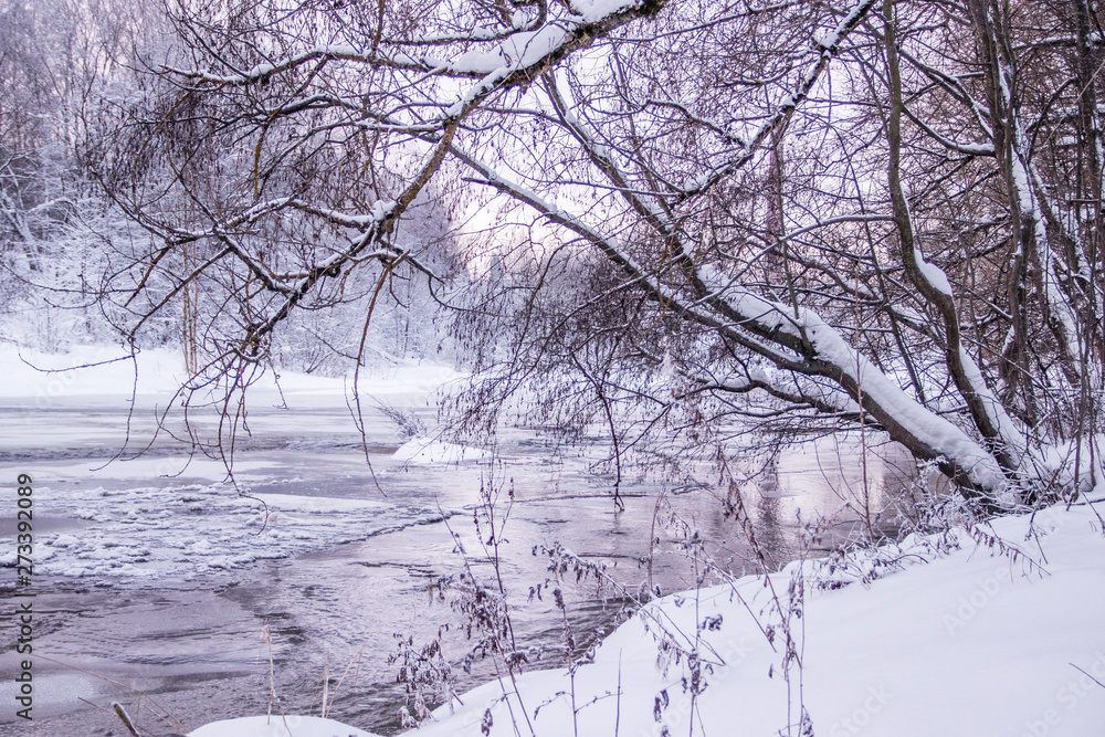 Morning dawn on the river. Pink sky. Winter landscape . Nature outside the city. Morning dawn on the river. Pink sky. Winter landscape . Nature outside the city.