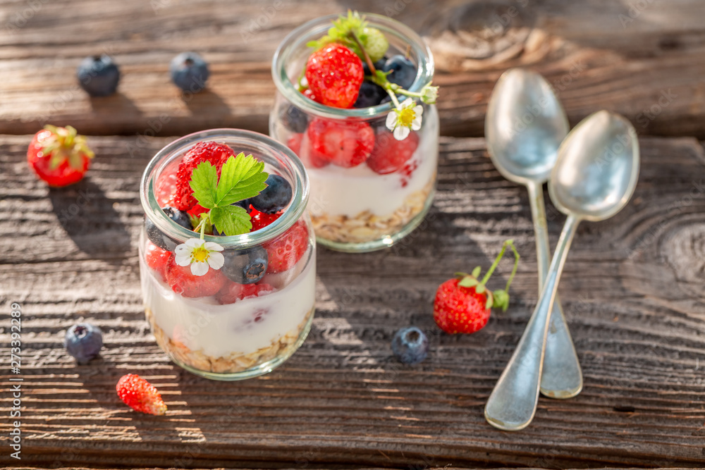 Top view of oat flakes with berries and yoghurt Top view of oat flakes with berries and yoghurt