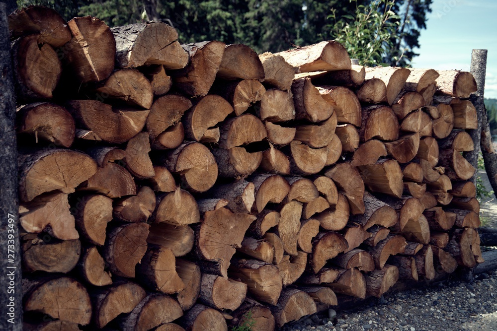 Cut wood piled up for winter