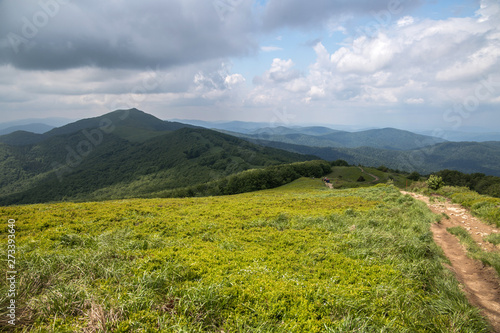 Fototapeta Naklejka Na Ścianę i Meble -  Bieszczadu Mountains in Poland