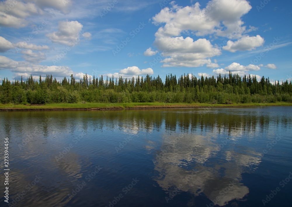 Reflection of blue shy with clouds in River, with forrest between river and sky