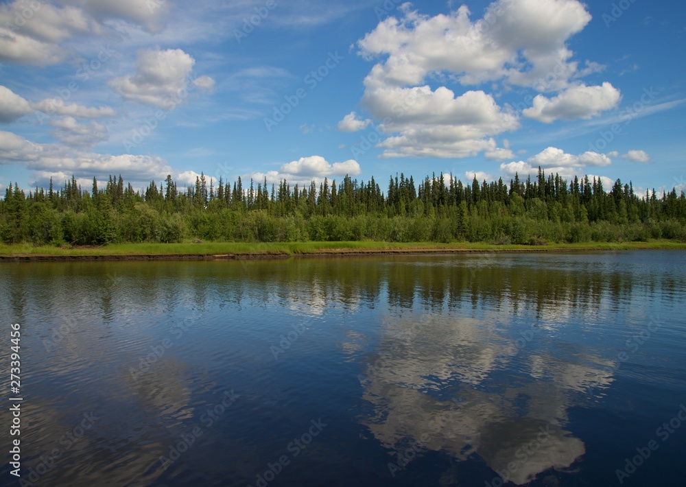 Fototapeta premium Reflection of blue shy with clouds in River, with forrest between river and sky