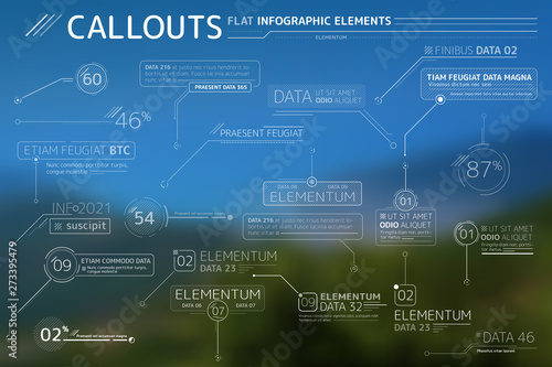 Callouts Flat Infographic Elements Collection