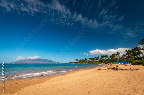 Beack life at Mokapu Beach Park, Wailea, Kihei, Maui, Hawaii, USA photo
