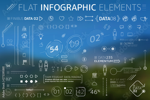 Corporate Flat Infographic Elements Collection