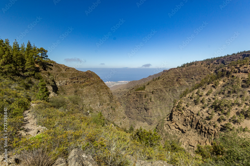 Stony path at upland surrounded by pine trees at sunny day. Clear lue sky and some clouds along the horizon line. Rocky tracking road in dry mountain area with needle leaf woods. Canary Islands travel