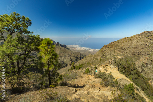 Stony path surrounded by pine trees at sunny day. Clear lue sky and some clouds along the horizon line. Road in dry mountain area with needle leaf woods. Helicopter flying above canyon. Tenerife