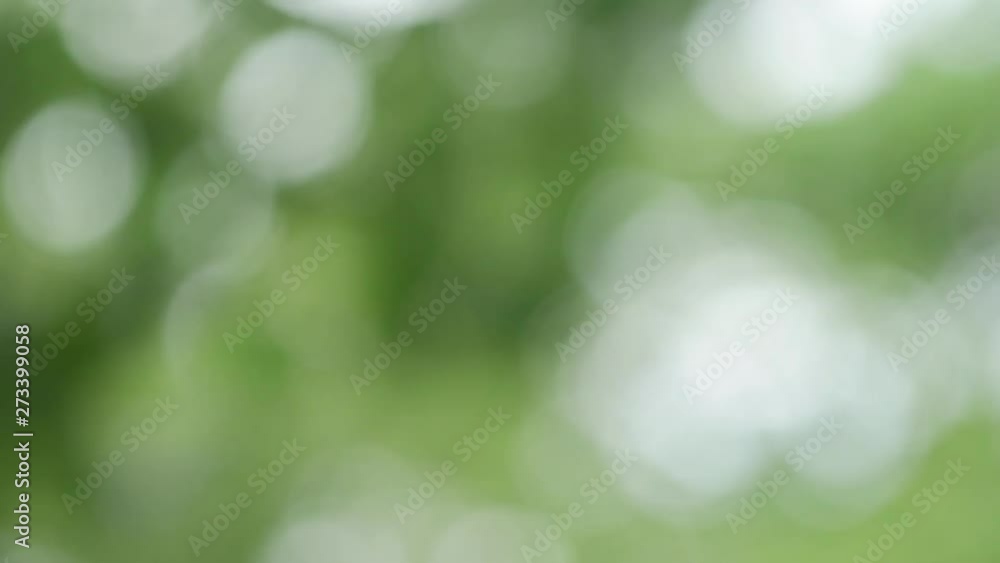 Bokeh background image Can be used as a backdrop Bokeh background image Can be used as a backdrop