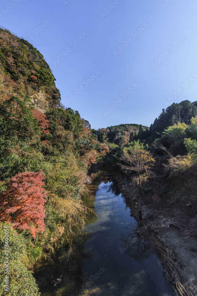 秋の養老渓谷の宝衛橋からみた風景