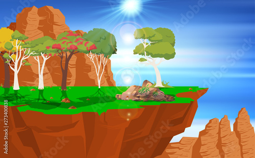 landscape of forest on the ...