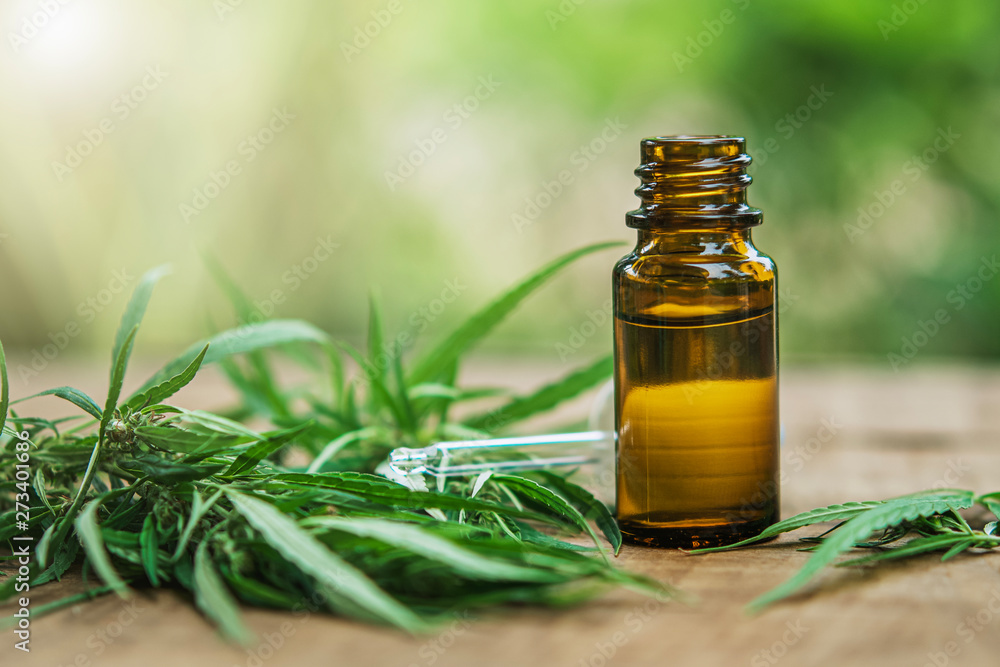 Cannabis herb and leaves with oil extracts in jars. medical concept Cannabis herb and leaves with oil extracts in jars. medical concept